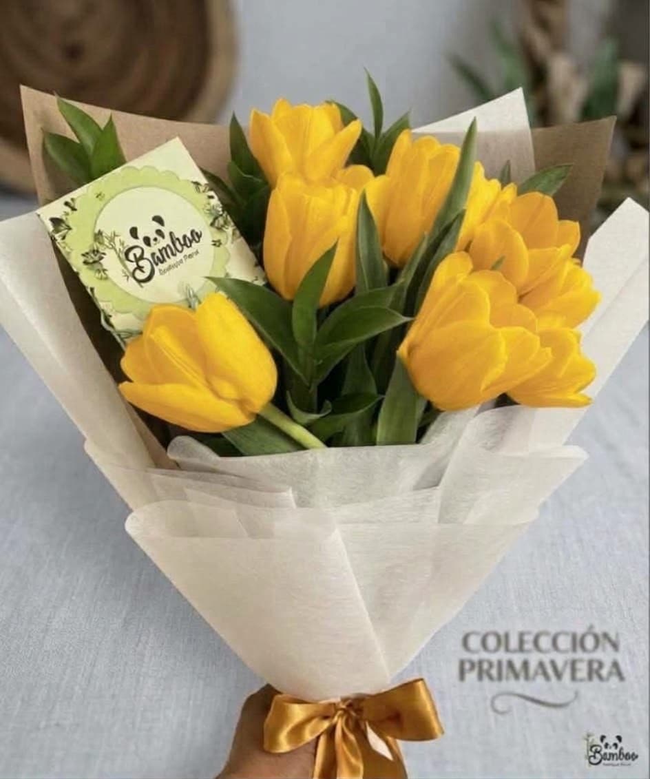 Ramo de Tulipanes, foto 3