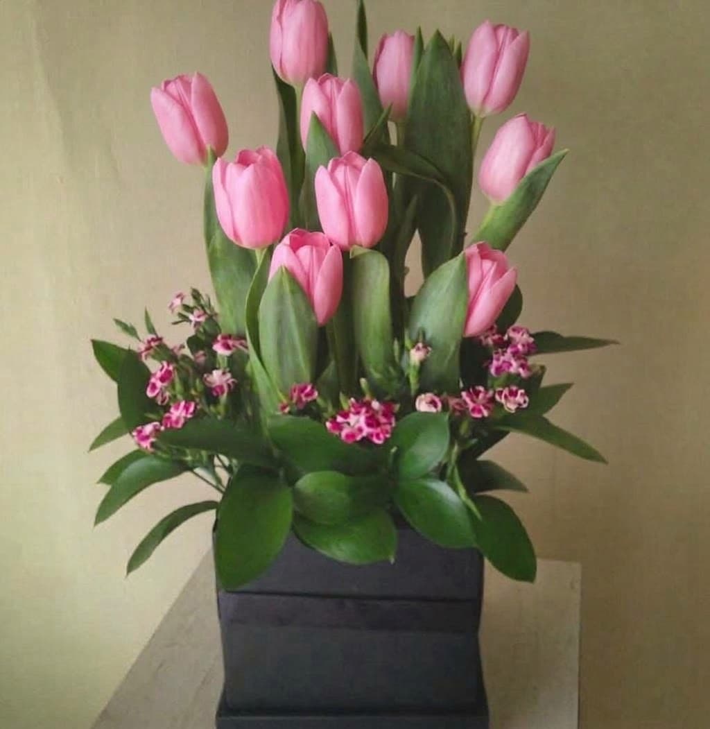 Caja Tulipanes Coral, foto 4