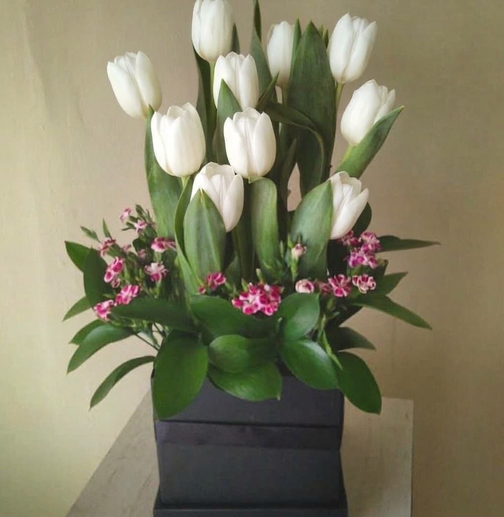 Caja Tulipanes Coral, foto 6