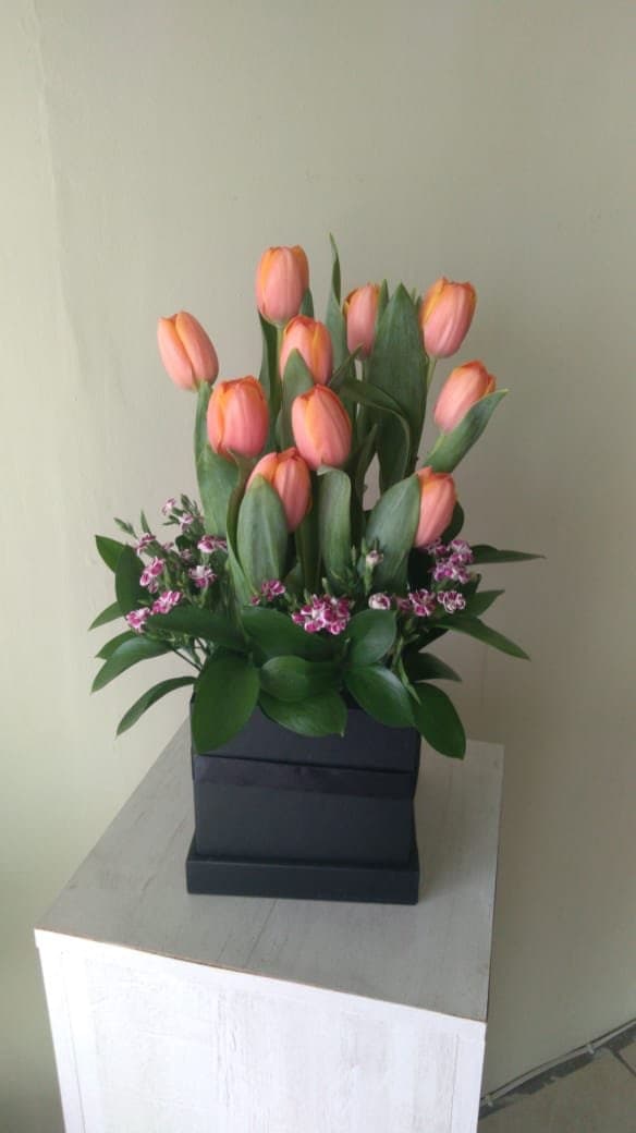 Caja Tulipanes Coral